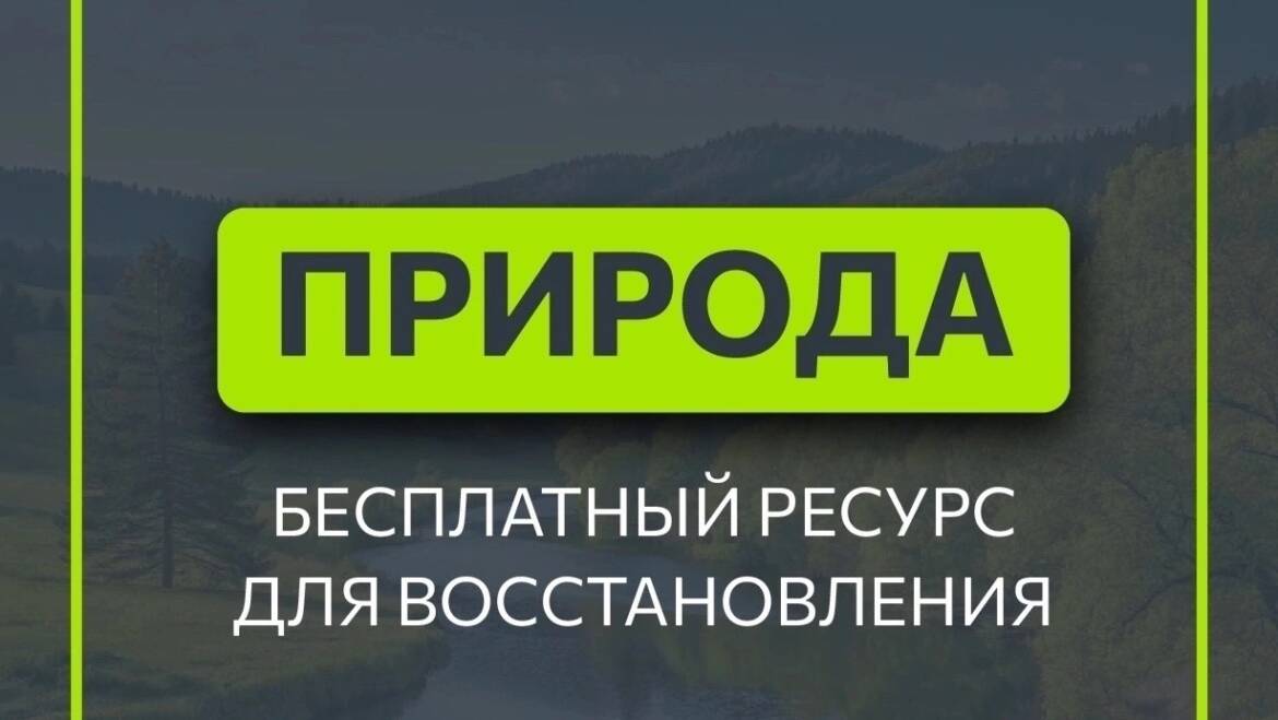 🌳 Спорт — норма жизни : природа — бесплатный ресурс для восстановления

Мы живём в мире асфальта, экранов и дедлайнов